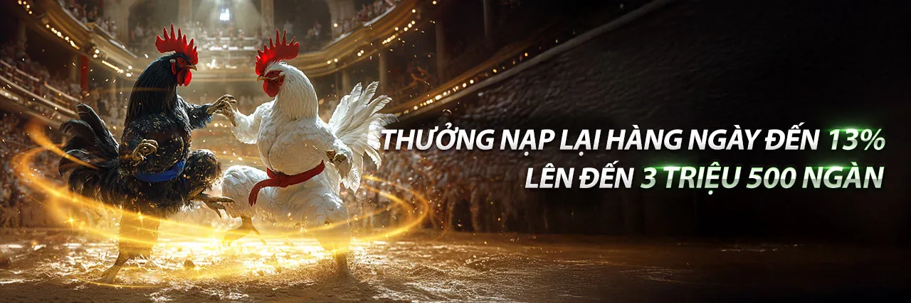 Giao diện ft88 với ưu đãi hấp dẫn, phù hợp cho thị trường cá cược trực tuyến Việt Nam