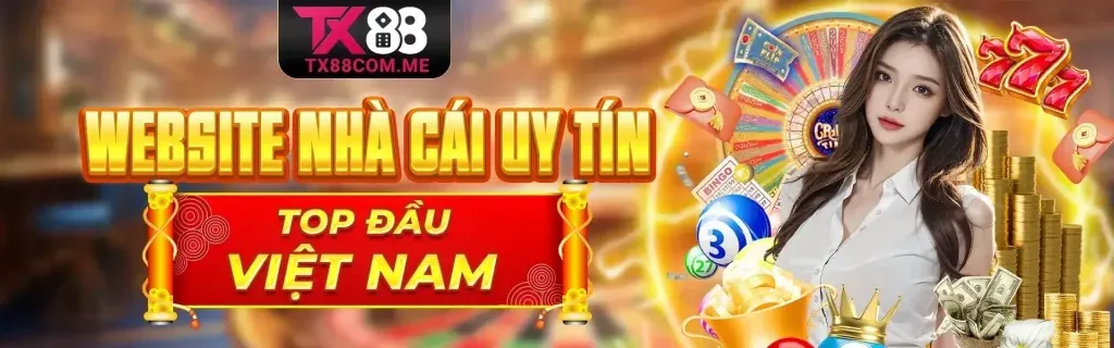 Hướng dẫn dành cho người mới FT88